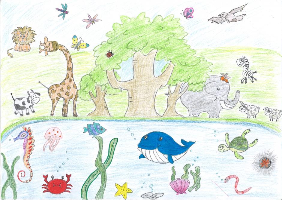 Biodiversity Drawing Competition, Drawing Campaign, International Biodiversity Day